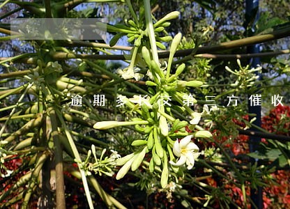 逾期多长交第三方催收6 逾期多长交第三方催收6