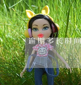 逾期多长时间不可以坐飞机 逾期多长时间不可以坐飞机