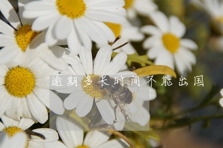 逾期多长时间不能出国 逾期多长时间不能出国