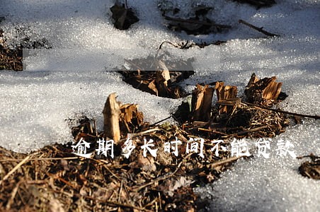 逾期多长时间不能贷款