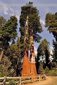 逾期多长时间不还款上征信 逾期多长时间不还款上征信