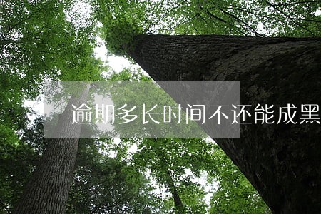 逾期多长时间不还能成黑户 逾期多长时间不还能成黑户