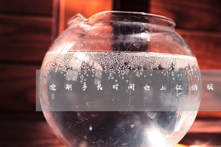 逾期多长时间会上征信报告 逾期多长时间会上征信报告