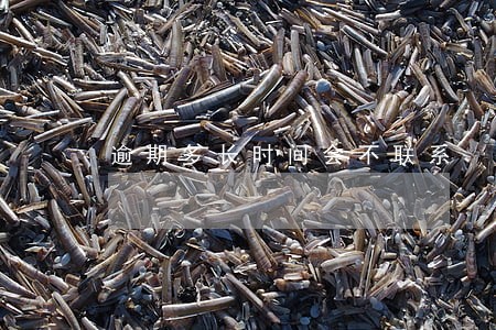 逾期多长时间会不联系 逾期多长时间会不联系