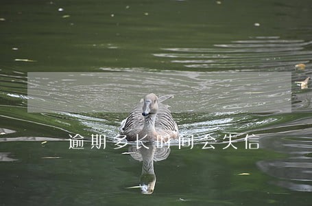 逾期多长时间会失信 逾期多长时间会失信