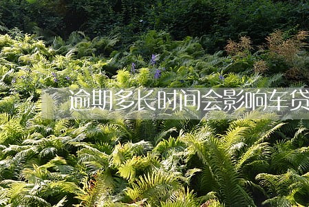 逾期多长时间会影响车贷