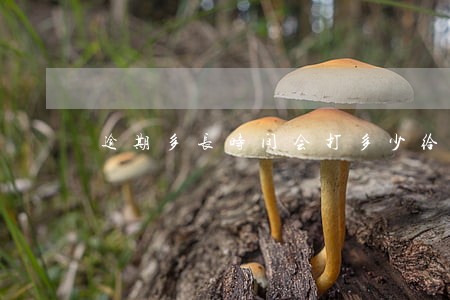 逾期多长时间会打多少给家人 逾期多长时间会打多少给家人
