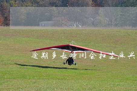 逾期多长时间会扣芝麻兴奋 逾期多长时间会扣芝麻兴奋