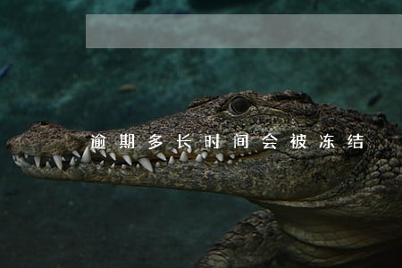 逾期多长时间会被冻结 逾期多长时间会被冻结