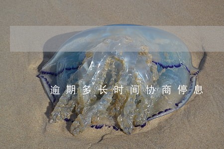 逾期多长时间协商停息 逾期多长时间协商停息