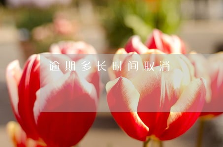 逾期多长时间取消 逾期多长时间取消