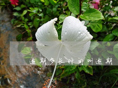逾期多长时间叫逾期