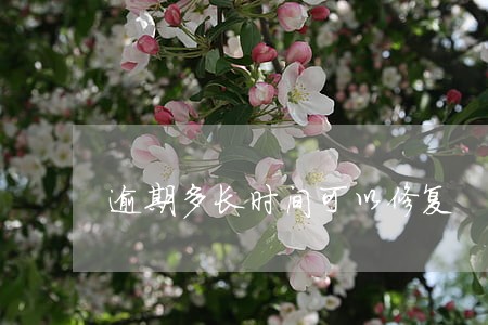 逾期多长时间可以修复 逾期多长时间可以修复