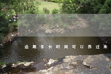 逾期多长时间可以养过来 逾期多长时间可以养过来