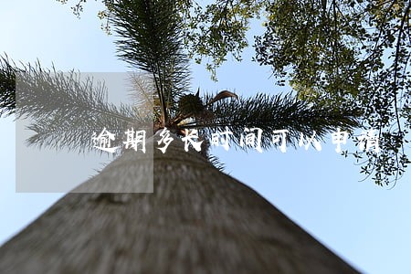 逾期多长时间可以申请