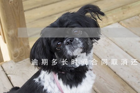 逾期多长时间合同取消还全款 逾期多长时间合同取消还全款