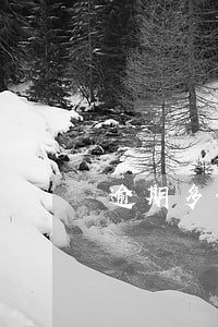 逾期多长时间对征信有影响 逾期多长时间对征信有影响