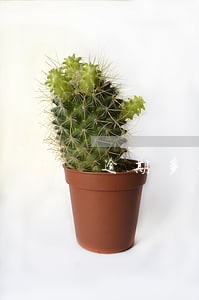 逾期多长时间就是黑户了 逾期多长时间就是黑户了