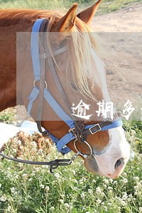 逾期多长时间征信会记录 逾期多长时间征信会记录