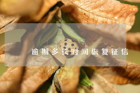 逾期多长时间恢复征信 逾期多长时间恢复征信