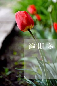 逾期多长时间成为呆账 逾期多长时间成为呆账