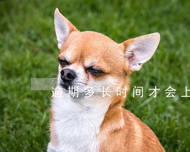 逾期多长时间才会上报征信 逾期多长时间才会上报征信