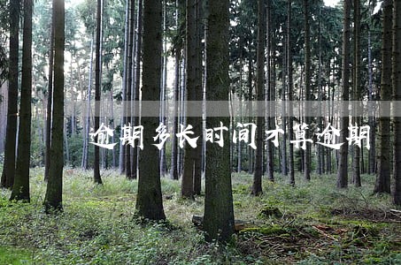 逾期多长时间才算逾期 逾期多长时间才算逾期