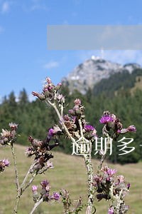 逾期多长时间曝通讯录 逾期多长时间曝通讯录