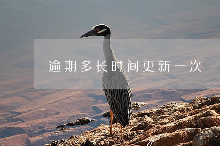 逾期多长时间更新一次 逾期多长时间更新一次
