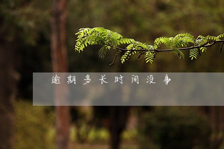 逾期多长时间没事 逾期多长时间没事