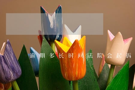 逾期多长时间法院会起诉 逾期多长时间法院会起诉