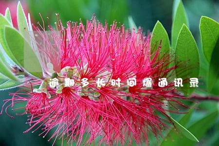 逾期多长时间爆通讯录 逾期多长时间爆通讯录