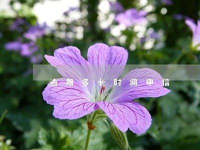逾期多长时间申信 逾期多长时间申信