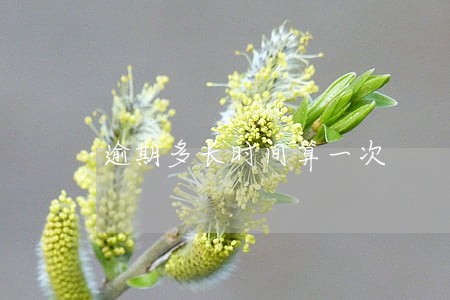 逾期多长时间算一次 逾期多长时间算一次