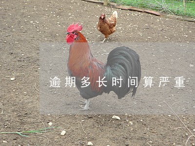 逾期多长时间算严重 逾期多长时间算严重