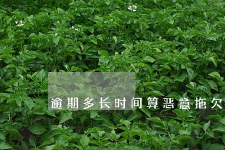 逾期多长时间算恶意拖欠 逾期多长时间算恶意拖欠