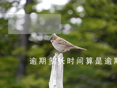 逾期多长时间算是逾期