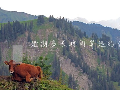 逾期多长时间算违约金 逾期多长时间算违约金