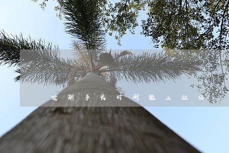逾期多长时间能上征信 逾期多长时间能上征信