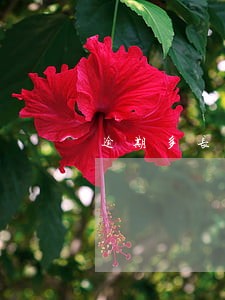 逾期多长时间能贷款 逾期多长时间能贷款