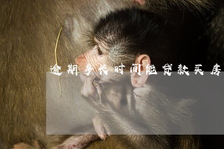 逾期多长时间能贷款买房