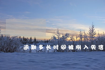 逾期多长时间被例入失信人名单 逾期多长时间被例入失信人名单