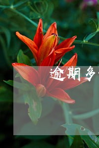 逾期多长时间被催收 逾期多长时间被催收
