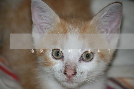 逾期多长时间要上门 逾期多长时间要上门