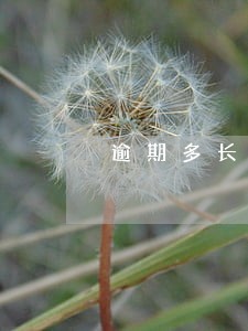 逾期多长时间要金融信用 逾期多长时间要金融信用
