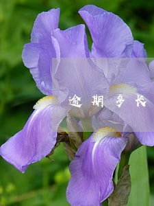 逾期多长时间转呆账