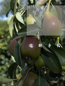逾期多长时间转账受限 逾期多长时间转账受限