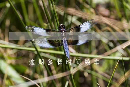 逾期多长时间锁车