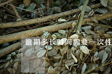 逾期多长时间需要一次性还清 逾期多长时间需要一次性还清