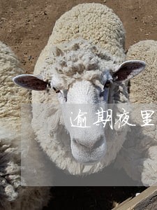 逾期夜里被电话骚扰 逾期夜里被电话骚扰